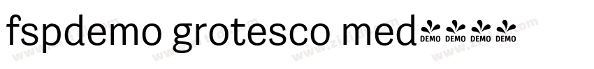 fspdemo grotesco med字体转换